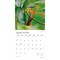 Hummingbirds | 2026 12 x 24 Inch (Hanging) Monthly Square Wall Calendar | Foil Stamped Cover